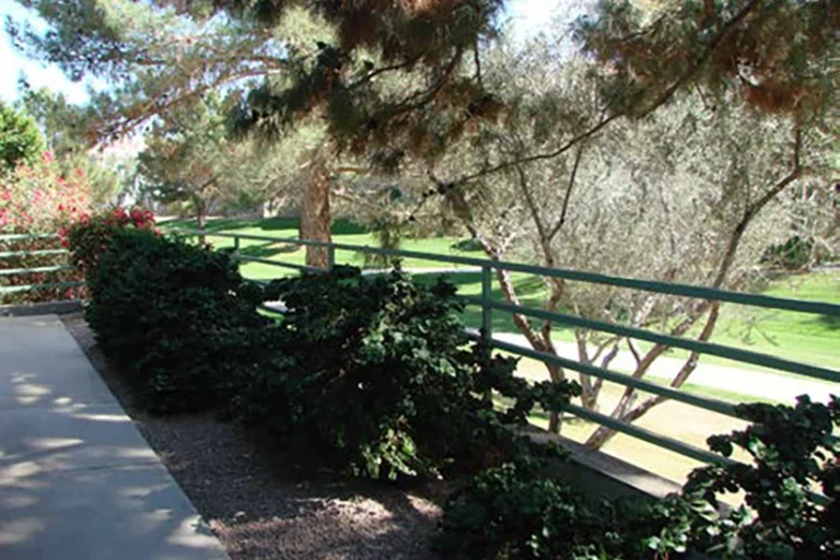 GuyCor RFG Scottsdale Office for Lease Landscaping.