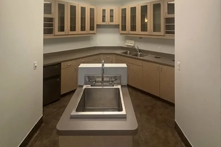 Avondale Dental/Medical/ Surgical Office Suite - Sterilization & Storage Area